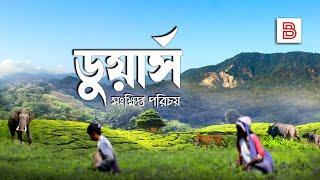 ডুয়ার্স - সংক্ষিপ্ত পরিচয় (Dooars) | About Dooars in Bengali | All information about Dooars Region