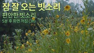 잠 잘 오는 빗소리 - 3시간 편안한 빗소리 들으며 잘 자요~ 5분 후 화면 꺼짐 (3h) 