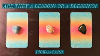 ️‍🩹Are They A LESSON? Or Will They Be Your Biggest BLESSING In Love?️Pick-A-Card️