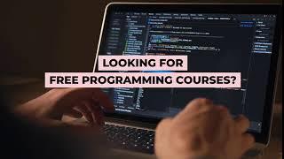 Learn Programming for FREE - Curious Drive