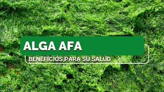 ALGA AFA