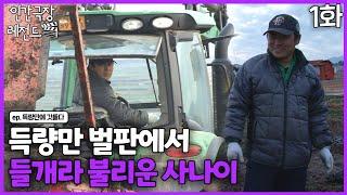 [인간극장 레전드 #361-1] 득량만 벌판에서 들개라 불리운 사나이ㅣ득량만에 깃들다(1/5)  [KBS 140113-140117 방송]