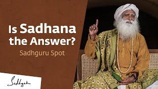 Is Sadhana the Answer? | Sadhguru Spot |