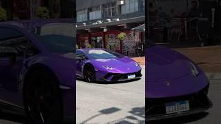 A roxinha mais famosa de São Paulo! Huracan performante viola pasifae