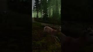 Official DayZ wolf attacks  Russian#funny #dayz#xbox #russia #survival