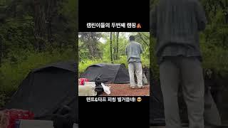 새로 구매한 텐트, 타프 첫 개시! #아이두젠 #텐트 #아버캠핑 #타프 #캠핑
