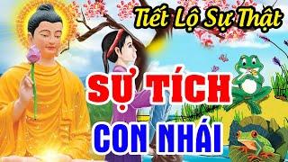 Chuyện Nhân Quả Luân Hồi Hay Nhất, Sự Tích Con NHÁI | Chuyện Nhân Quả Có Thật, Nghe Mà Sợ Khiếp Vía