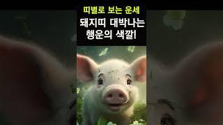 띠별운세! 돼지띠는 이렇 옷을 자주 입어야 대박이 납니다! 돼지띠를 대박나게하는 행운의 색깔! #행운,