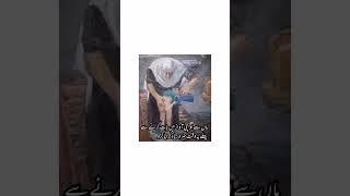 ️ماں کی شان #viralvideo #ytshorts #quotes #shorts #reels #youtube