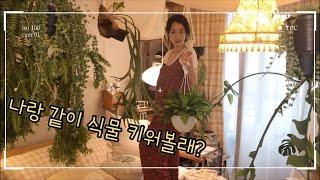 똥손도 키우는 행잉플랜트  / 초보 행잉식물 키우기 / 플랜테리어 / hanging indoor plants!ㅣjungle room tour