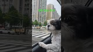엄마 빨리 와