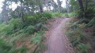 Thetford MTB Norfolk, 03/08/18