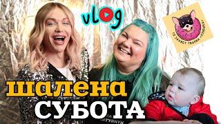 BIG VLOG: 5-річчя притулку, КВАРТИРНИК 5:0 та живе спілкування 