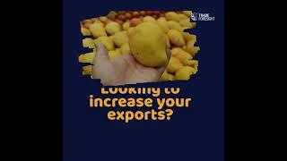 How to Increase Your Mango Export Business | Sign Up Now on Trade Foresight