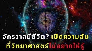 จักรวาลมีชีวิต: ปริศนาควอนตัมสู่ความจริงหนึ่งเดียว