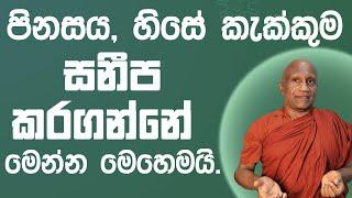 පීනසය සහ ඒ සම්බන්ධ හිසේ කැක්කුම සුවකරගන්නා ක්‍රමය මෙන්න.