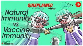 Quixplained: Natural immunity vs Vaccine immunity