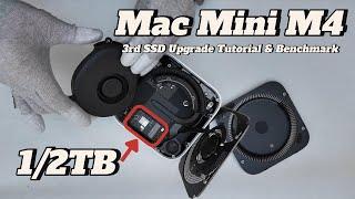 Mac Mini M4 Internal SSD Upgrade Tutorial & Speed Benchmark | 256GB to 2TB #macminim4 #apple #mac