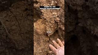 Нашли старый дом, а внутри открылся проход