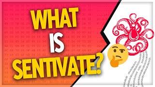 What is Sentivate? // Interview w/ Co-Founder Tom Marchi