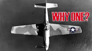 Why US planes Only had 1 Roundel