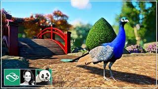  Peafowl Walkthrough Habitat | Speed Build | Planet Zoo | Meilin Zoo | Ep. 9