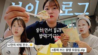 n통째 비운 찐템 모음집.zip 브이로그🪴 시켜줘 다이소 앰버서더. 지속력 짱짱 메이크업 +전세사기 (LH 전세매입)