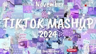 Tiktok Mashup November 2024 (Not Clean)