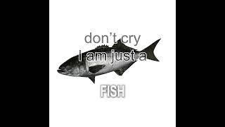 Don't cry I'm just a fish HD Remake