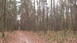 НАДЯ с Недогарок  и ее Больные Ноги Как решить эту Проблему ЧАСТЬ 1