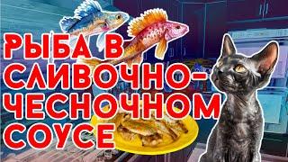 Рыба в сливочно-чесночном соусе. Очень вкусное блюдо.