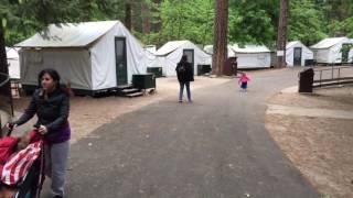 Camp Curry -I mean Half Dome Village