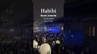 Silvester in Hamburg  #deutschland #hamburg