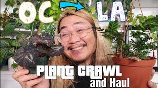 Shopping for Houseplants | OC to LA Plant Crawl and Haul