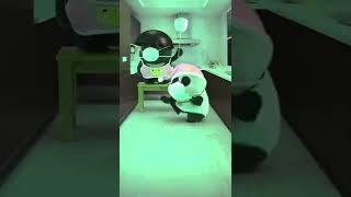 【Bamboo Panda熊猫班卜】Panda Bamboo and Dundun just wanna stay at home  #panda #chinese #cute