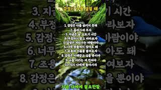 감정이 나를 덮칠 때  #명언 #좋은글 #힐링