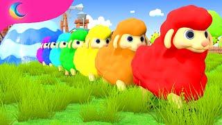 Baa Baa Black Sheep! | BluLoo Nursery Rhymes & Kids Songs