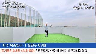 No.148 [공기좋은 숲속의 4억대 복층] ️운정신도시가 한눈에 다 보이는 대단지 🫰스카이뷰가 시원한 파주복층빌라