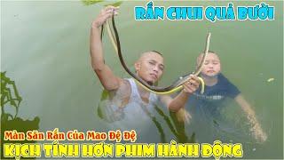 Rắn Chui Quả Bưởi Và Màn Săn Cặp Rắn Của Mao Đệ Đệ Kịch Tính Hơn Phim Hành Động