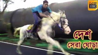 ঝড়ের গতিতে ঘোড়া দৌড়। Best Horse Riding 2021. দেশ সেরা ঘোড়ার অসাধারণ দৌড়। World Best Horse Riding BD