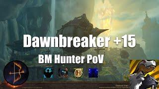 +15 Dawnbreaker BM Hunter PoV