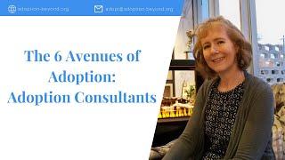 The 6 Avenues of Adoption: Adoption Consultants