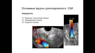 Введение в допплерографию с демонстрацией на пациенте