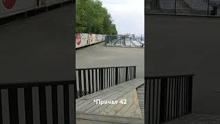 #яровое
