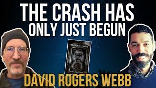 The Worst CRASH Since 1929 Is Happening NOW! | David Rogers Webb