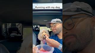 This is a Sign to Take Your Dog For a Run ‍️