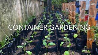 FULL VIDEO l Container Gardening l Rosas Organic Urban Farming