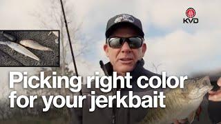 How to pick the right color for your jerkbait - spring feeding prespawn bass bite with KVD