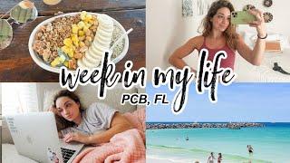 a happy week in my life at home! beach days, gym, online final, fitness haul | PCB, FL