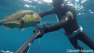 Mordus Spearfishing - Clément Antonini - Dentis 2020